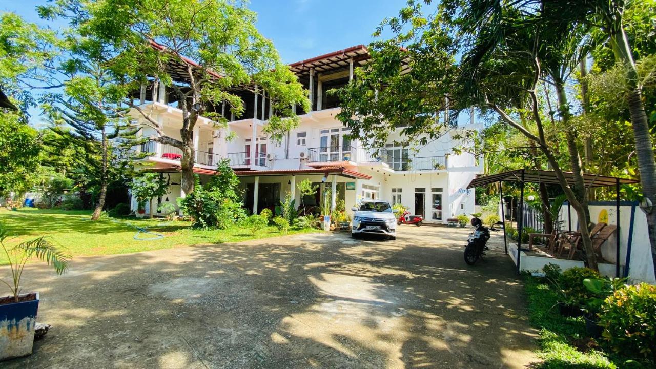 Owin Rose Yala Safari Hotel Tissamaharama Exteriér fotografie